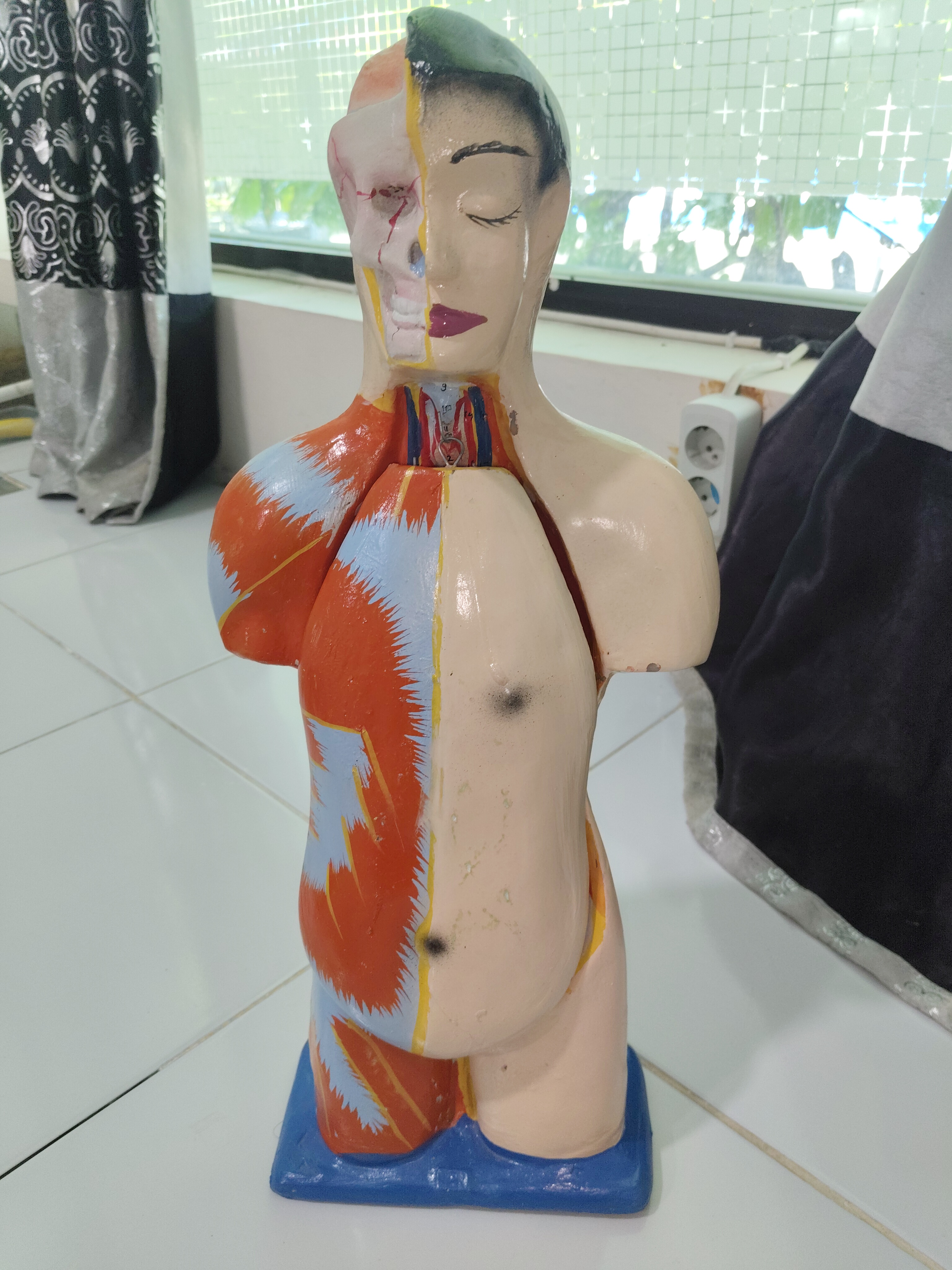 Mini torso