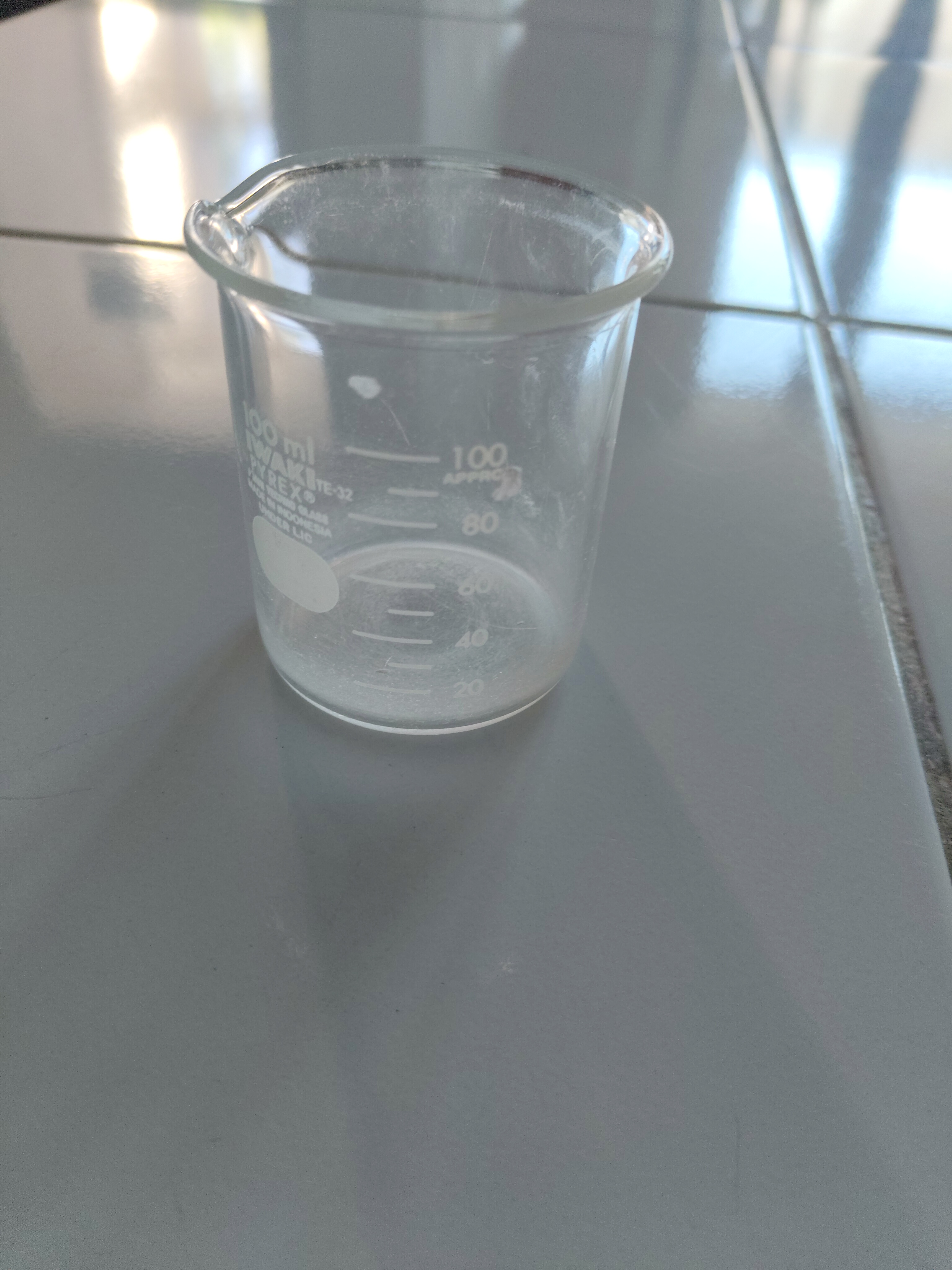 Gelas Beker 100 mL