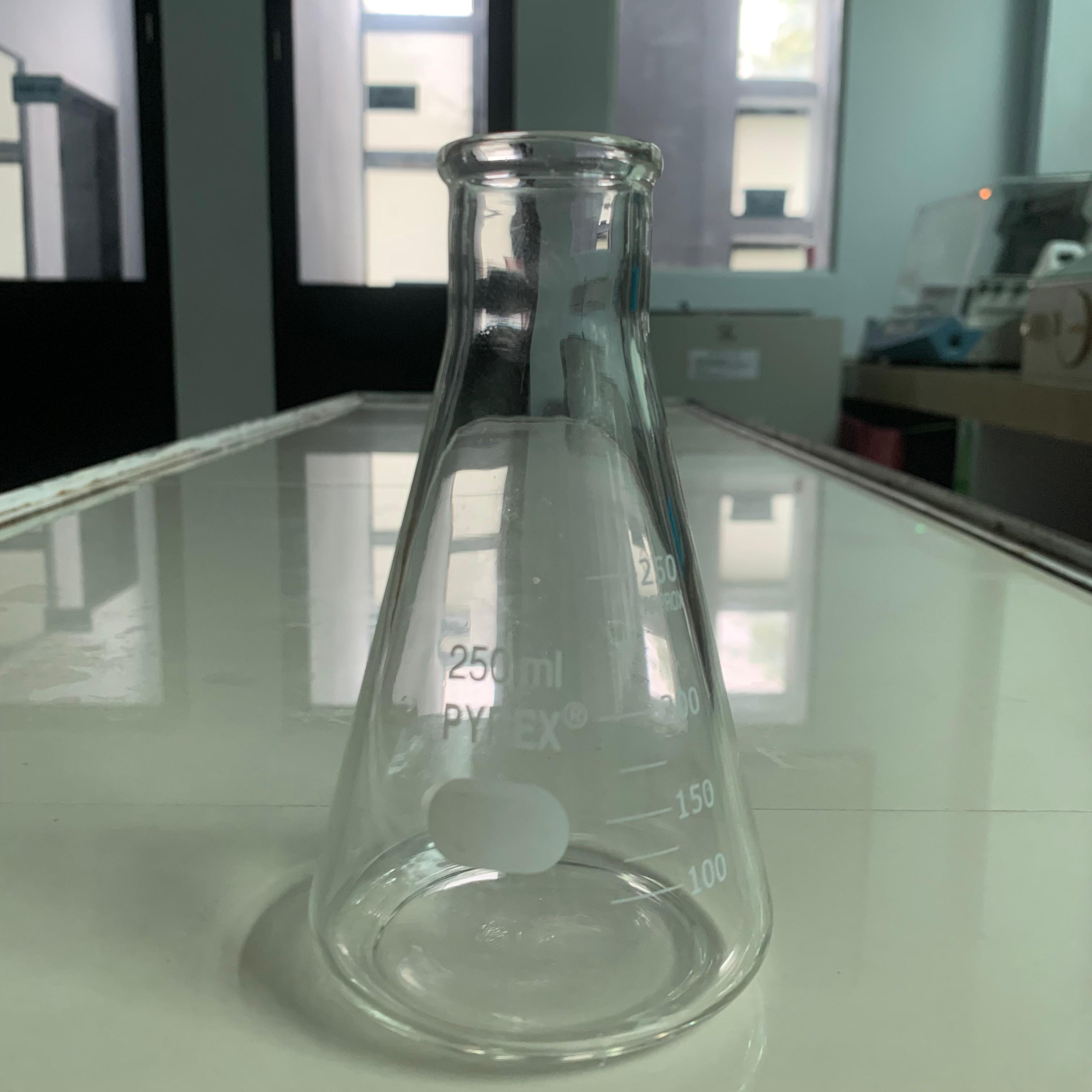 Erlenmeyer 250 mL