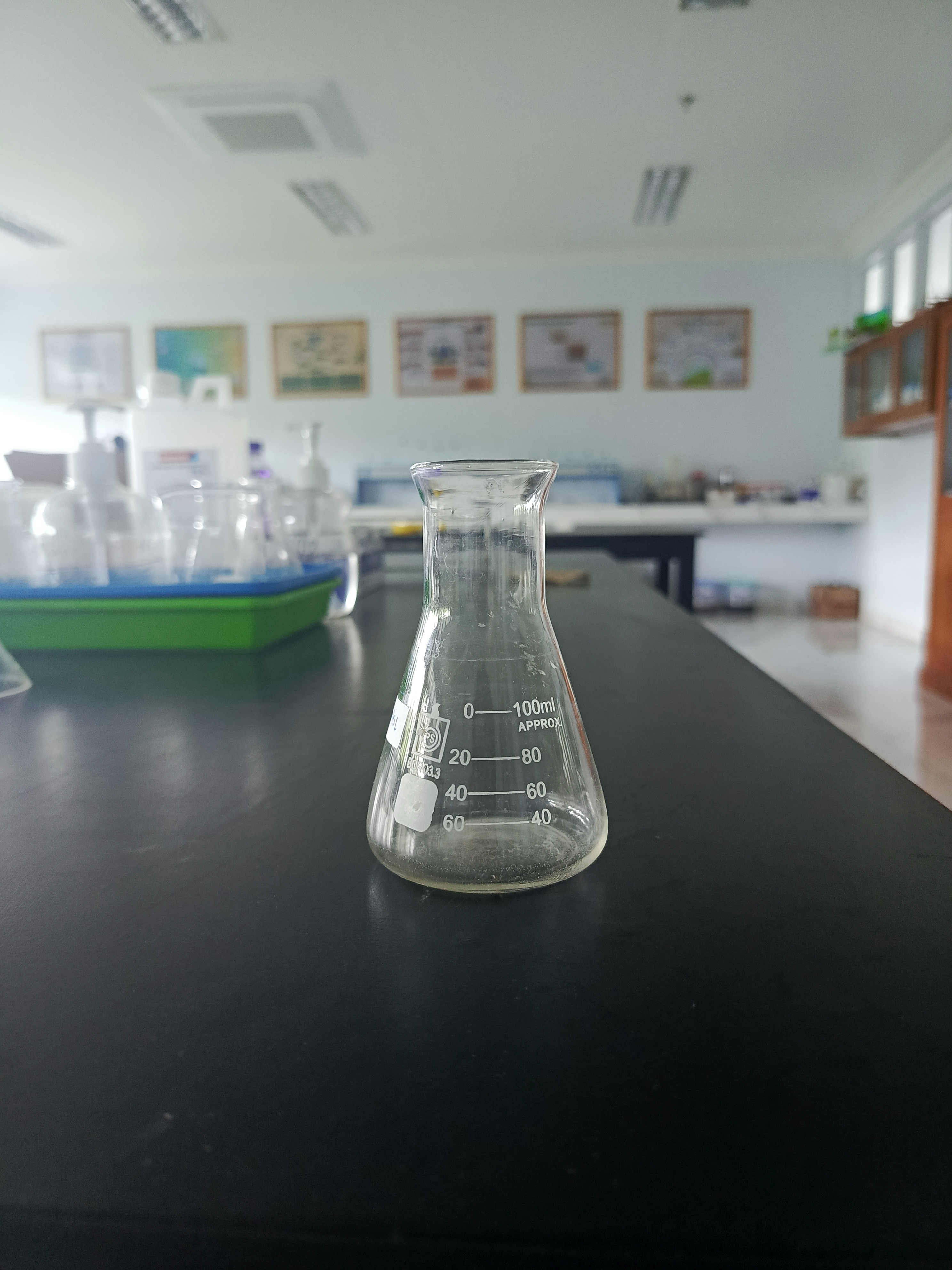 Labu Erlenmayer (100ml) 