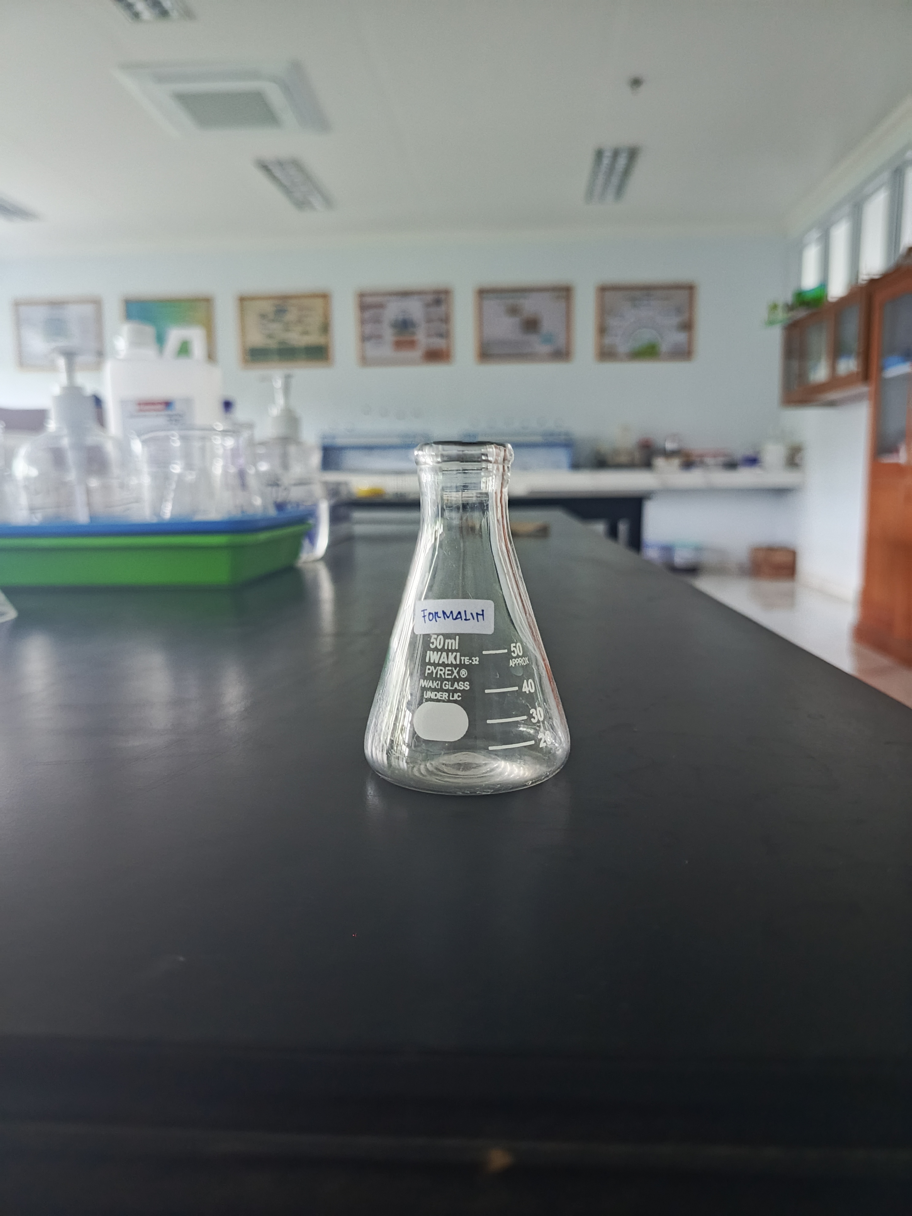 Labu Erlenmayer (50ml) 