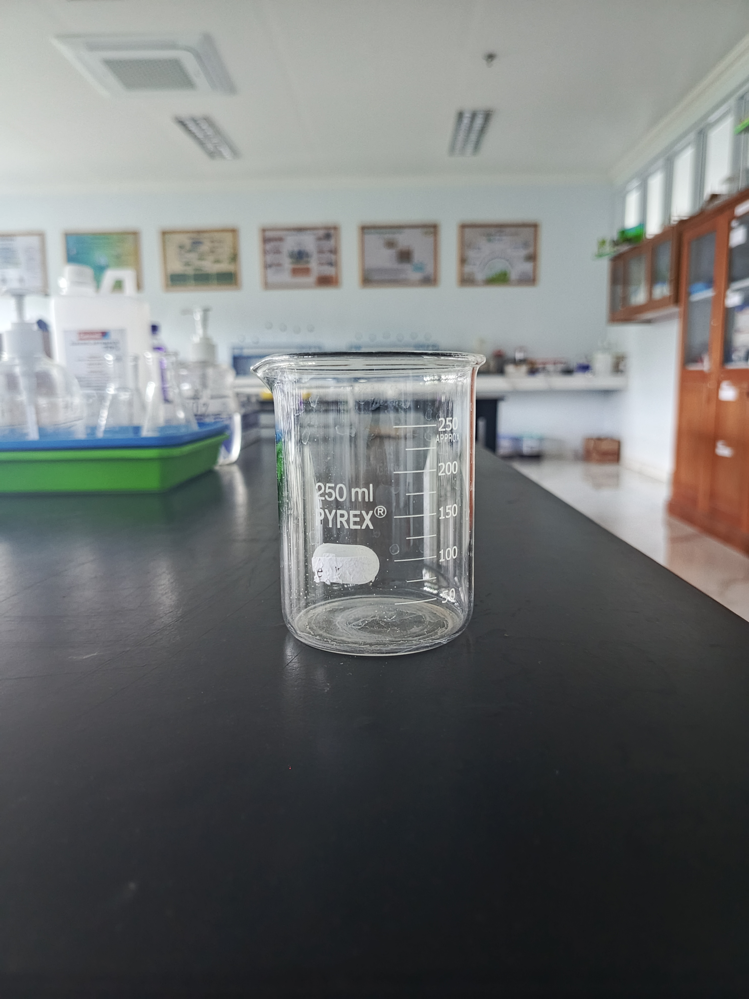Beaker Glass (250ml) 