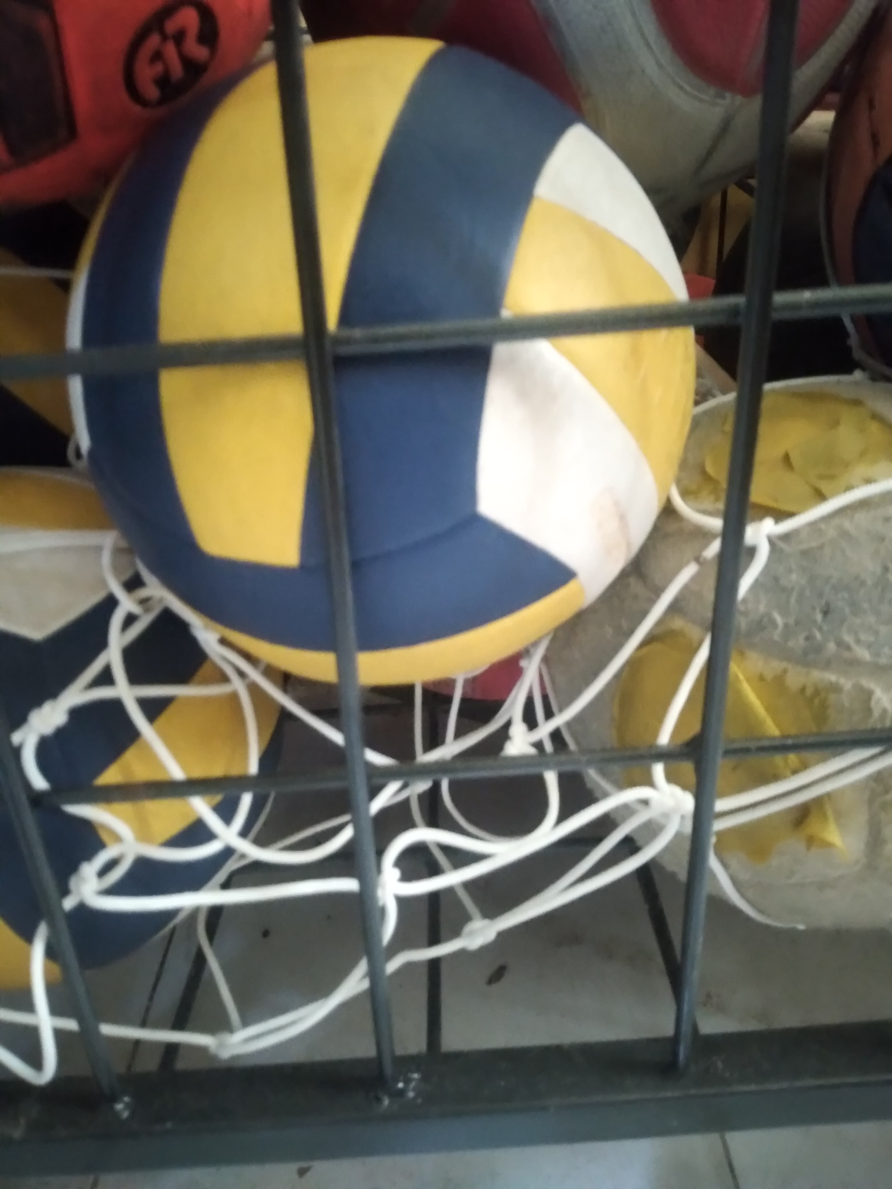 Bola Voli